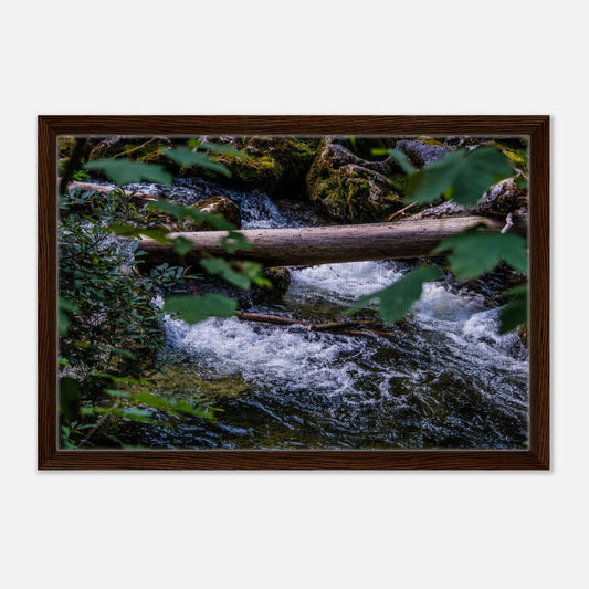 1604ec4c-55d8-468d-84c7-ce56e22c6d6b